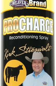 Weaver Leather ProCharge, Aerosol For Cheap