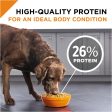 Purina Pro Plan Savor Adult Shredded Blend Lamb & Rice Formula Dry Dog Food Cheap