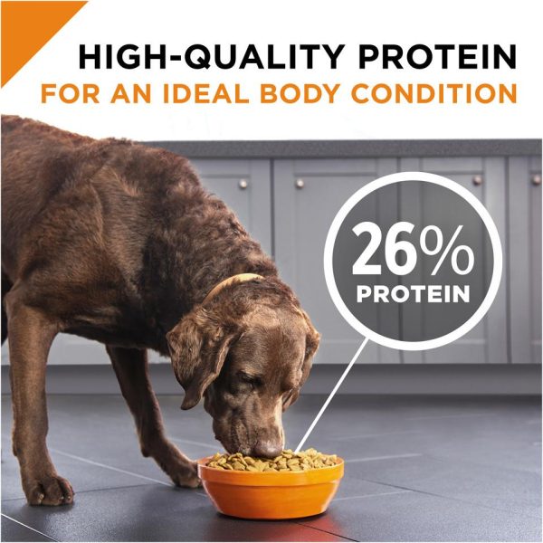 Purina Pro Plan Savor Adult Shredded Blend Lamb & Rice Formula Dry Dog Food Cheap