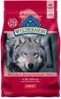 Blue Buffalo Wilderness Grain Free Natural Salmon Recipe Adult Dry Dog Food Cheap