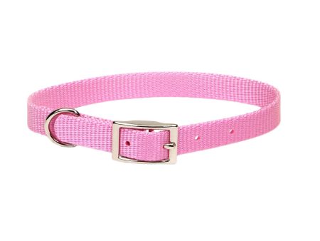 Coastal Single-Ply Dog Collar Online Hot Sale