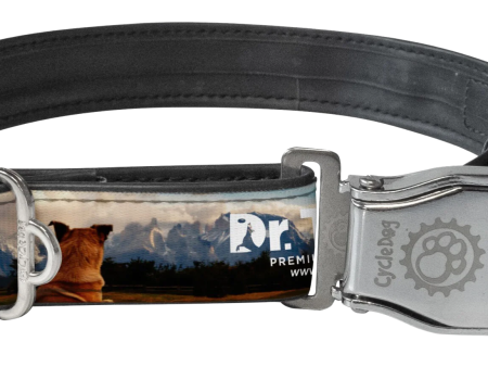 Dr. Tim s Dog Collar on Sale