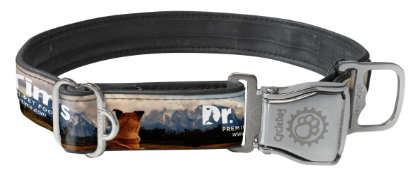 Dr. Tim s Dog Collar on Sale