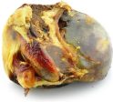 Barkworthies Knuckle Bone For Dogs Cheap