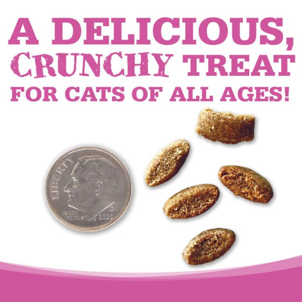 Nutrisource Crunchy Salmon and Tuna Recipe Cat Treats For Sale