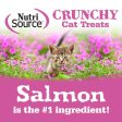 Nutrisource Crunchy Salmon and Tuna Recipe Cat Treats For Sale