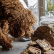 Oma s Pride Dehydrated Lamb Lungs for Dogs and Cats Online Sale