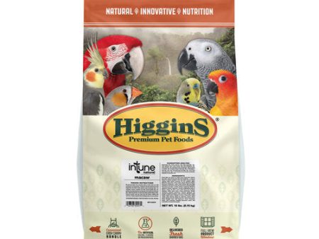 Higgins Intune Macaw Food Online now